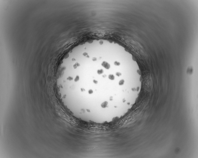 X0000099301105200805161342