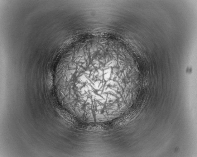 X0000099301106200805161342