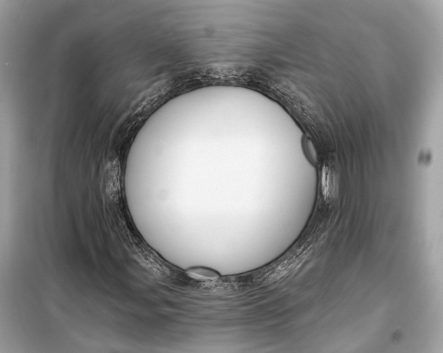 X0000099301107200805161342