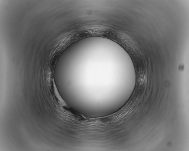 X0000099301108200805161342