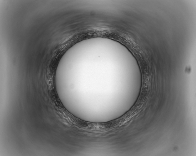 X0000099301109200805161342