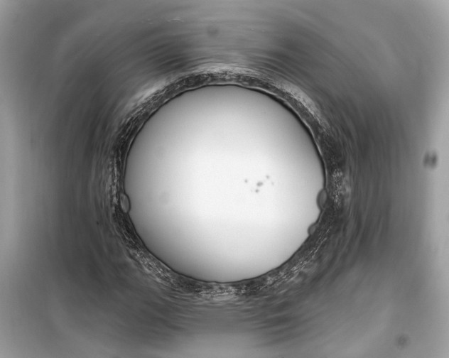 X0000099301111200805161342