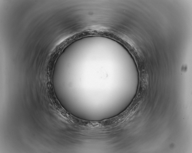 X0000099301112200805161342