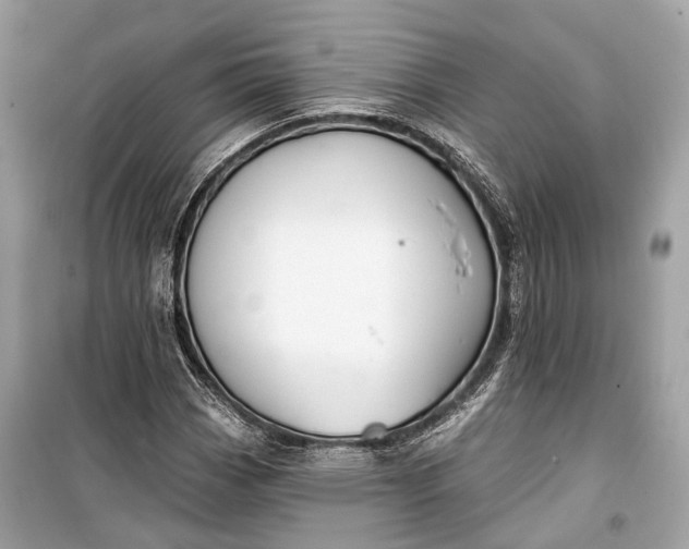 X0000099301113200805161342