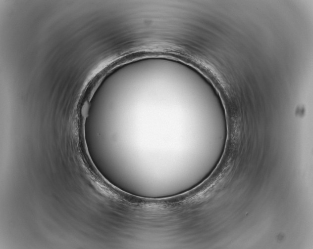 X0000099301114200805161342