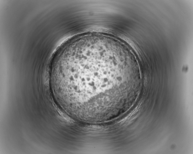 X0000099301115200805161342