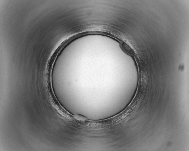 X0000099301116200805161342