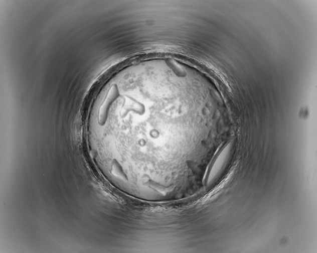 X0000099301117200805161342