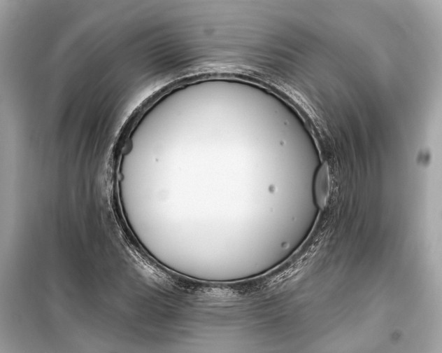 X0000099301119200805161342