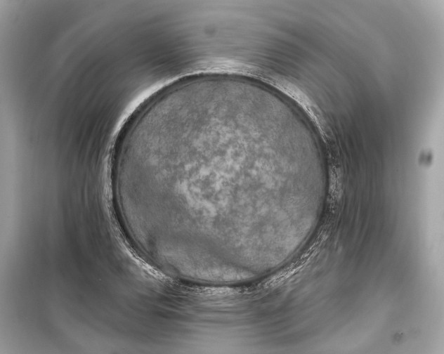 X0000099301120200805161342