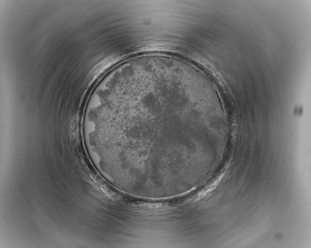 X0000099301121200805161342