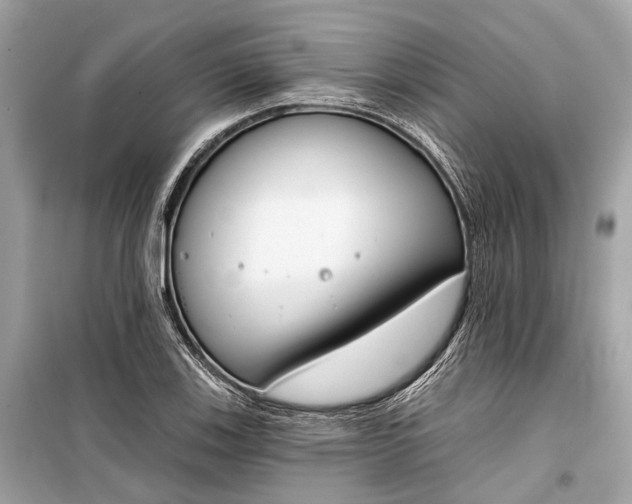 X0000099301123200805161342