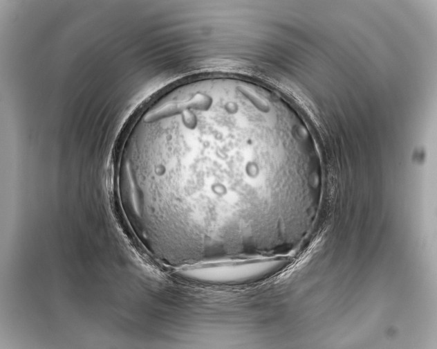 X0000099301125200805161342