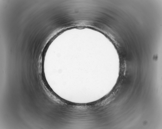 X0000099301126200805161342