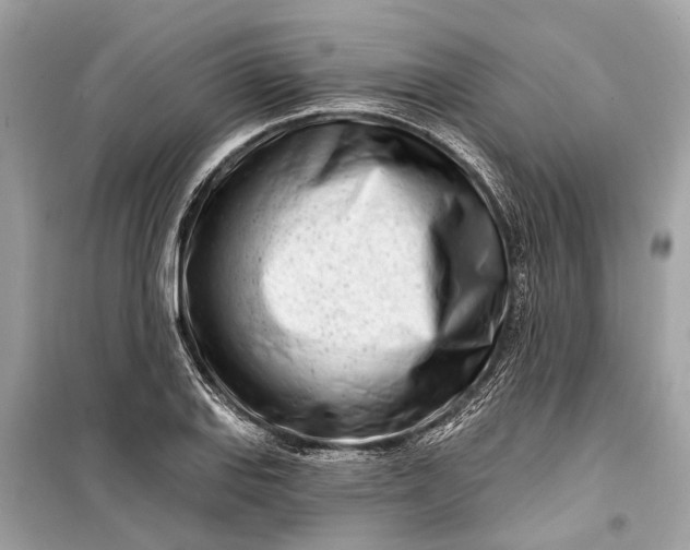 X0000099301127200805161342