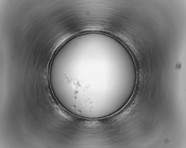 X0000099301129200805161342