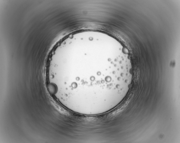 X0000099301130200805161342