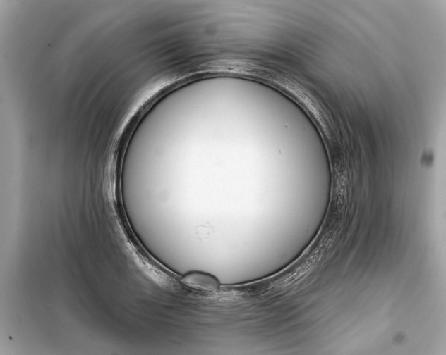 X0000099301131200805161342