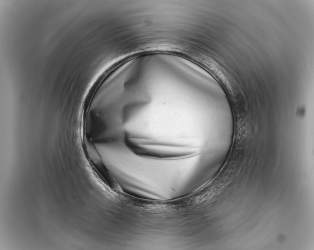 X0000099301132200805161342