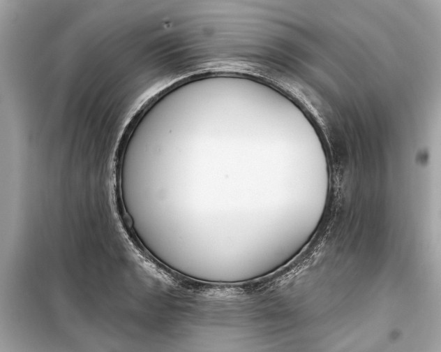 X0000099301133200805161342