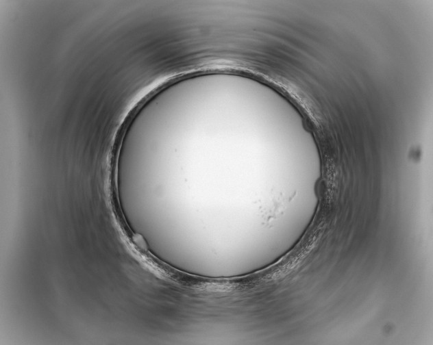 X0000099301134200805161342