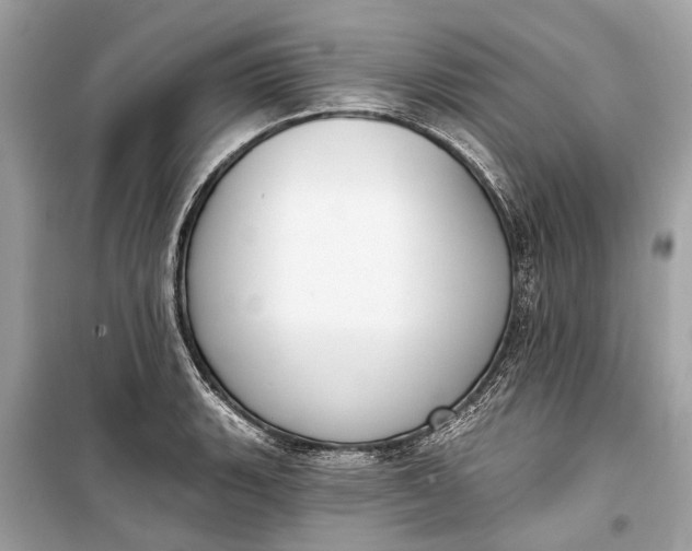 X0000099301135200805161342