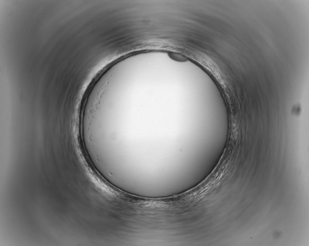 X0000099301136200805161342