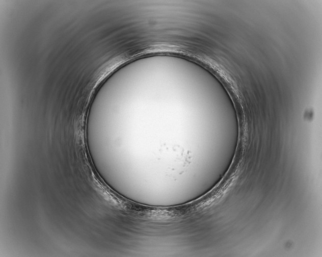 X0000099301137200805161342