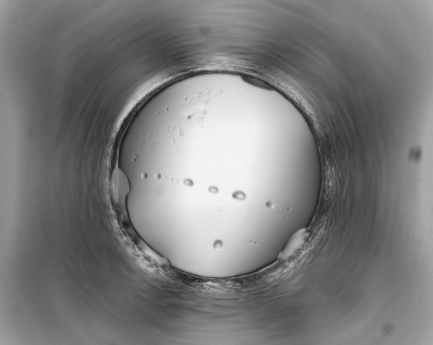 X0000099301138200805161342