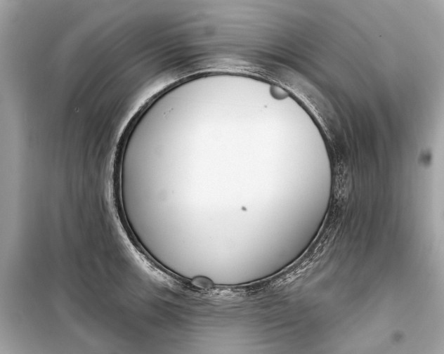 X0000099301139200805161342