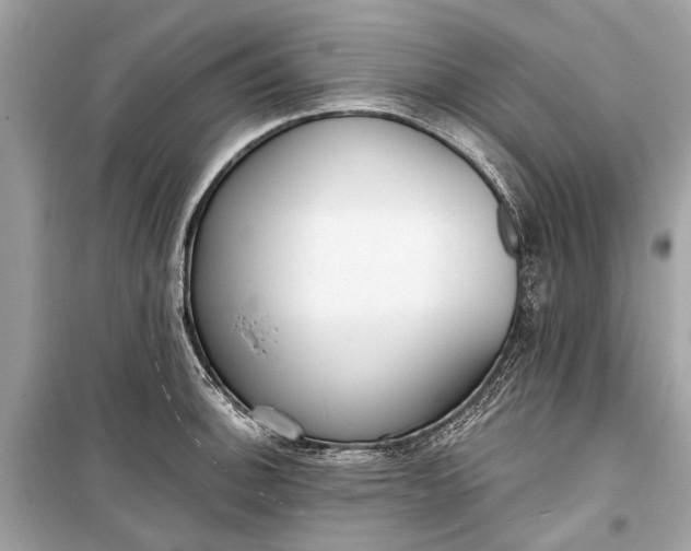 X0000099301140200805161342