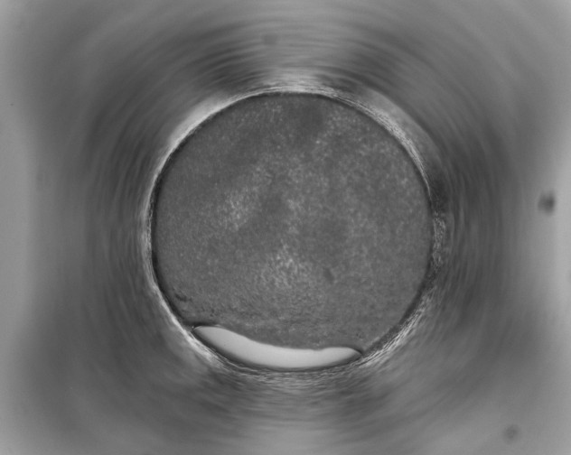 X0000099301141200805161342