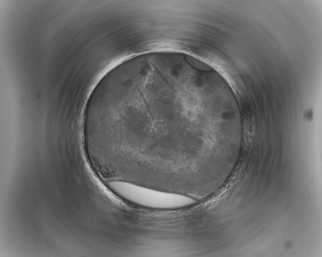 X0000099301142200805161342