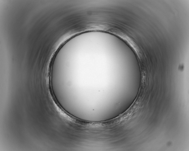 X0000099301143200805161342