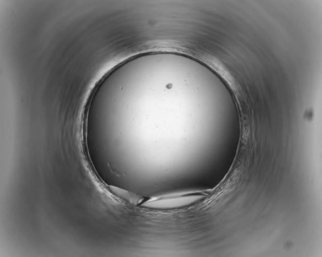 X0000099301144200805161342