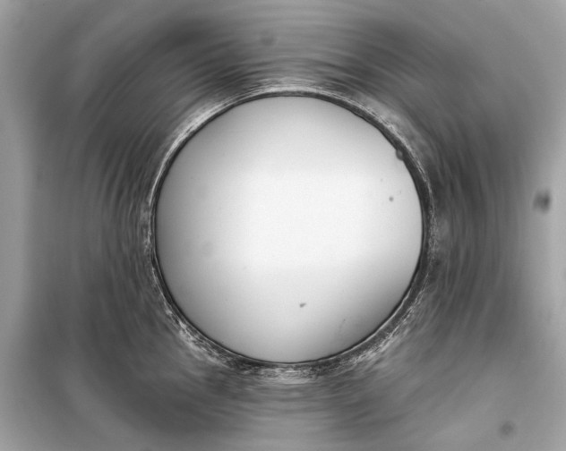 X0000099301145200805161342