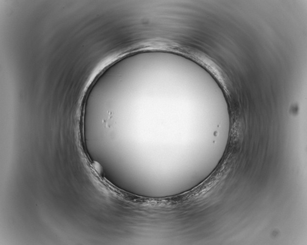 X0000099301146200805161342