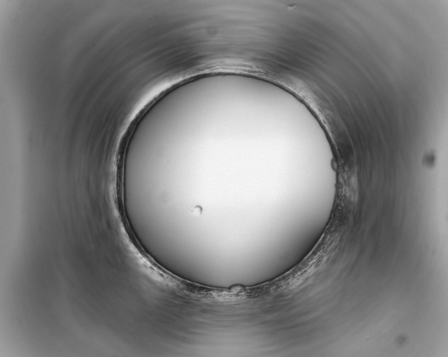 X0000099301147200805161342