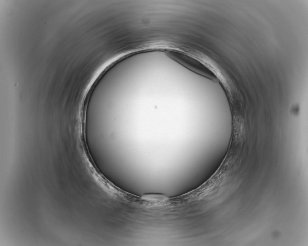 X0000099301148200805161342