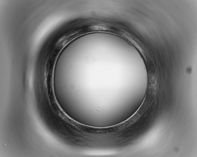 X0000099301151200805161342