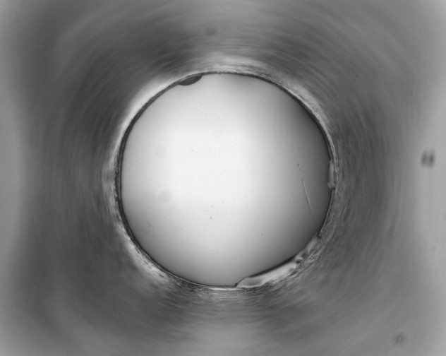 X0000099301152200805161342