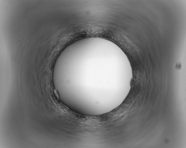 X0000099301153200805161342