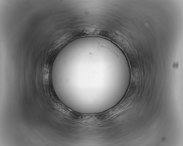 X0000099301154200805161342