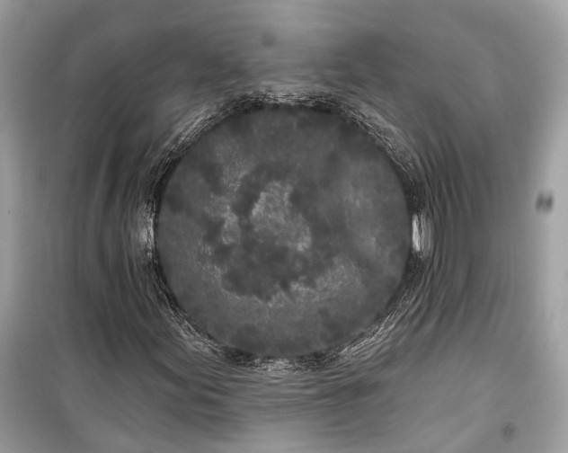 X0000099301155200805161342