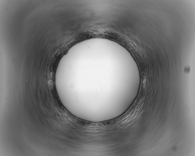 X0000099301156200805161342