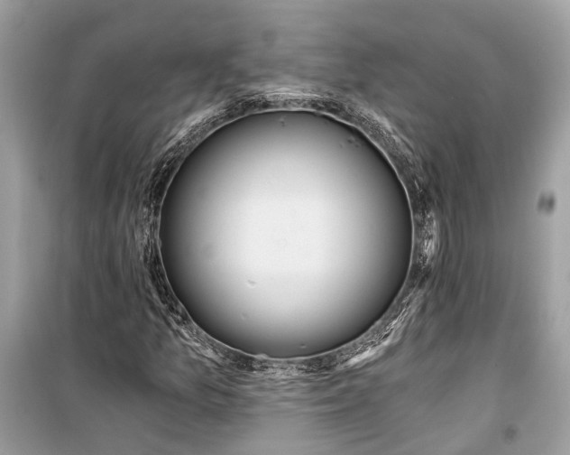 X0000099301157200805161342