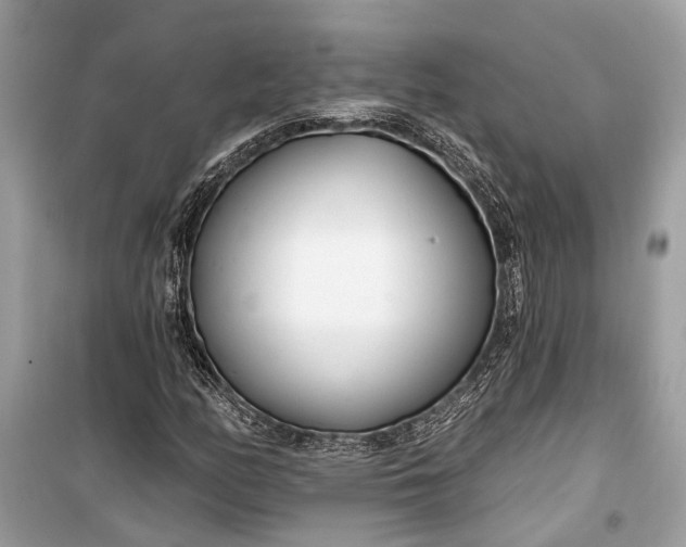 X0000099301158200805161342