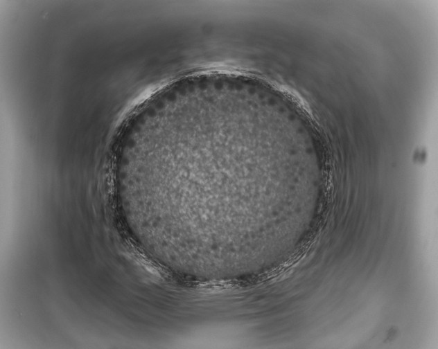 X0000099301159200805161342