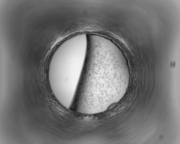 X0000099301160200805161342