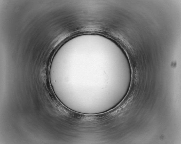 X0000099301162200805161342